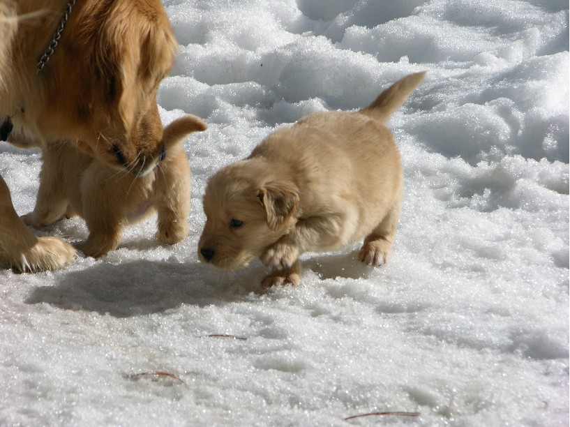 1walk2.jpg