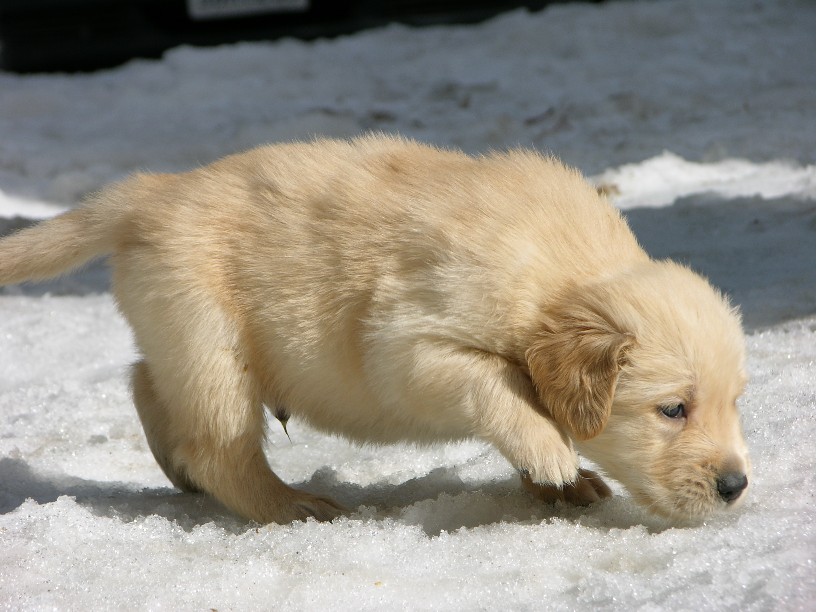 4walk2.jpg