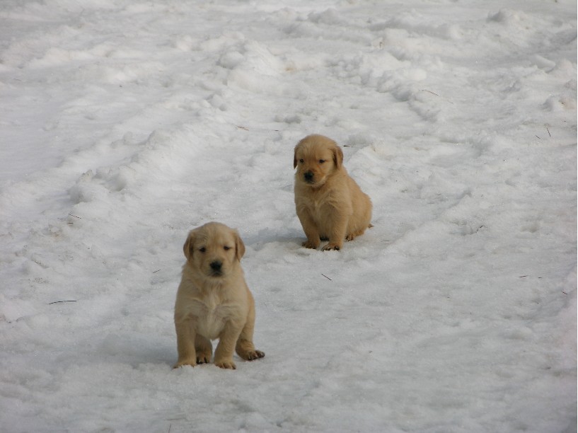 6walk2.jpg